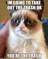 Image result for Trash Cat Memes