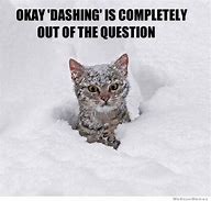 Image result for Snow Cat Meme