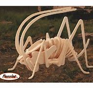 Image result for 3D Puzzle Cave Cricket