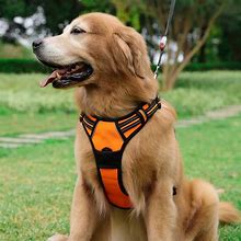 Image result for Top Dog Harness