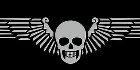 Image result for Army Skull SVG