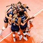 Image result for FIVB Volleyball World Championship