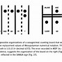 Image result for Who Invented the Abacus