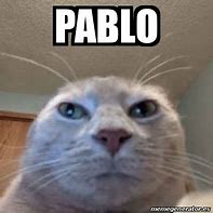 Image result for Pablo the Dog Meme