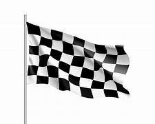 Image result for Starters Flag