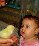 Image result for Funniest the Baby Memes