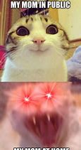 Image result for AVT Cat Meme