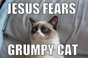 Image result for Grumpy Cat Meme Jesus