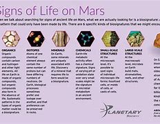 Image result for Living Things On Mars