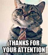 Image result for Cat Thank You for Your Attention Meme
