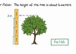 Image result for How Far Is 4 Meters