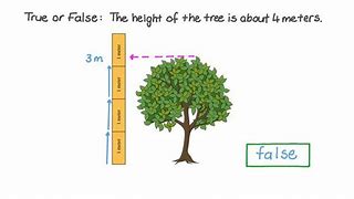 Image result for How Tall Is 2 Meters