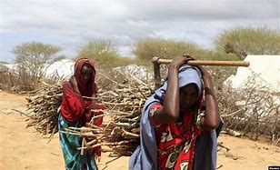Image result for Somalia Refugees