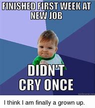 Image result for Excited About New Job Memes