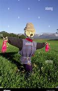 Image result for Scarecrow Bird