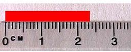 Image result for Worksheets in Measuring Length