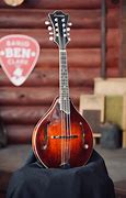 Image result for Eastman Mandolin