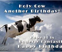 Image result for Cow Birthday Meme Funny