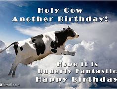 Image result for Happy Birthday Cow Meme
