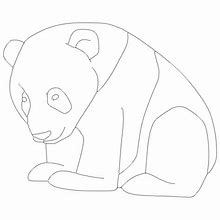 Image result for Panda Tracing