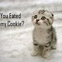 Image result for Free Funny Animal Wallpaper