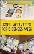 Image result for 5 Senses Activities for Preschool