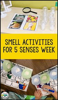 Image result for 5 Senses Smell Activity