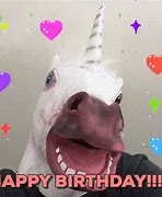 Image result for Funny Unicorn Birthday Meme