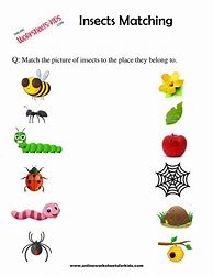Image result for Count the Insects Worksheet
