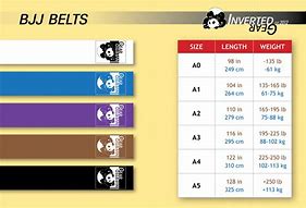 Image result for Jiu Jitsu Belt Chart