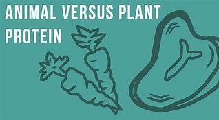 Image result for Plant-Based Diet vs Meat