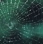 Image result for Spider Animated Images