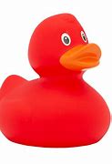 Image result for Cool Red Rubber Duck
