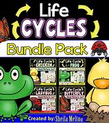Image result for Animal Life Cycle Books