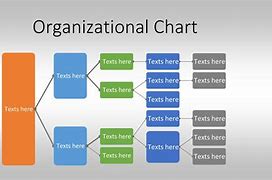 Image result for organizational charts create