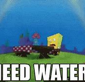 Image result for I Need Water Spongebob Meme