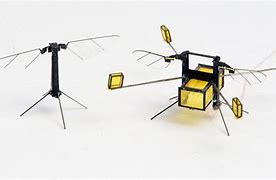 Image result for Robot That Looks Like a Bee