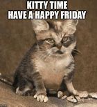 Image result for Friday Best Cats Meme