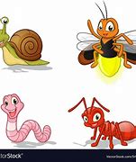 Image result for Insect Cartoon Show