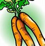 Image result for Cartoon Carrot Clip Art