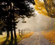 Image result for Autumn Country Road