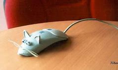 Image result for Funny Computer Mouse