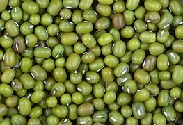 Image result for Beans/Grains