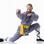 Image result for Kung Fu Martial Arts Poses
