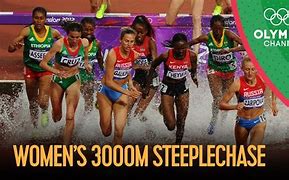 Image result for Steeplechase Stallions