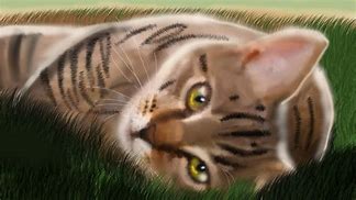 Image result for Warrior Cats Onewhisker