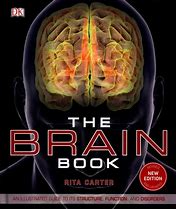 Image result for The Brain Book