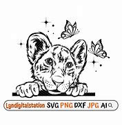 Image result for Cute Baby Lion SVG