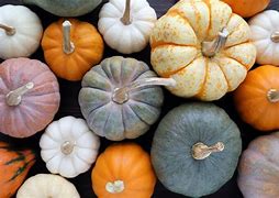Image result for Fall Theme Pumpkins