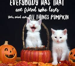 Image result for Kids Halloween Meme